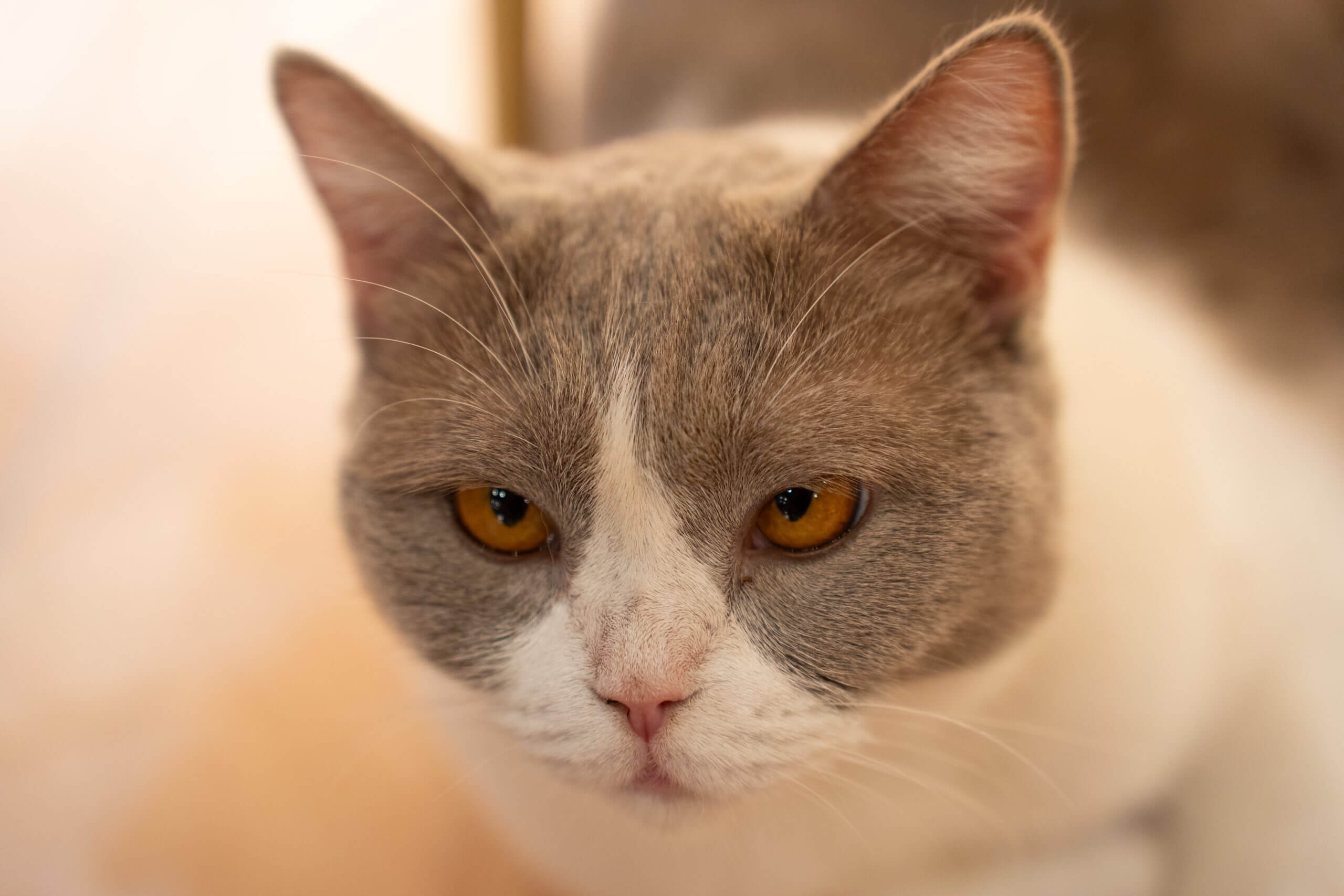 DSC00489