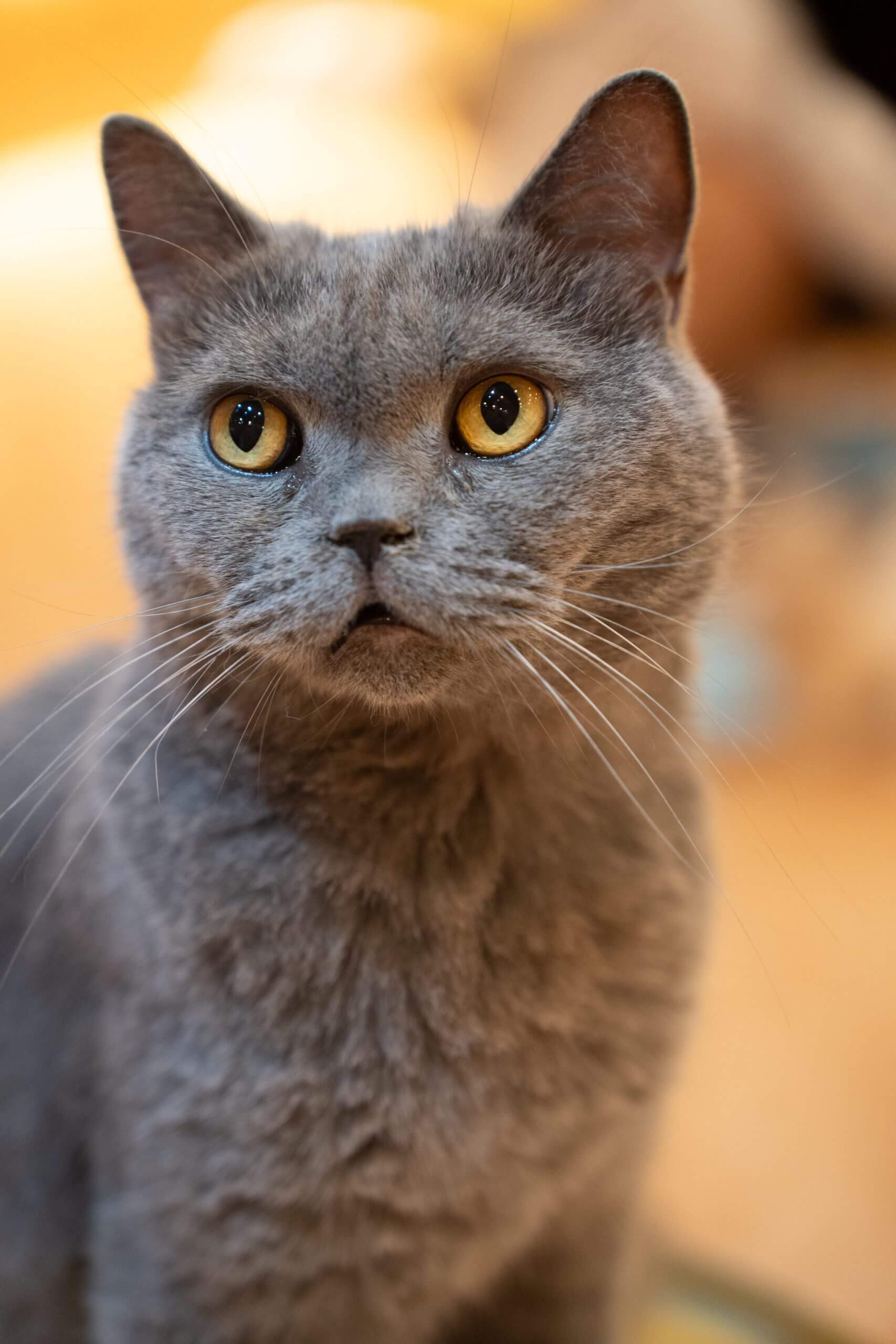 DSC00543